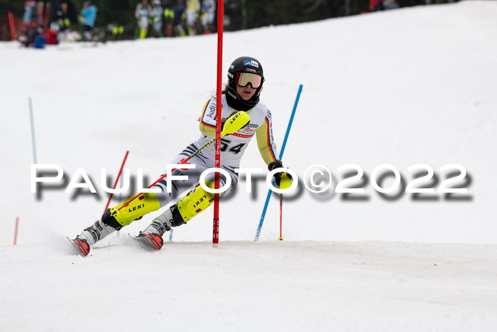 FIS AC + NC AC Slalom Damen + Herren 30.03.2022