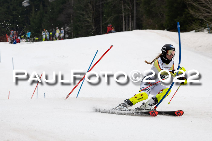 FIS AC + NC AC Slalom Damen + Herren 30.03.2022