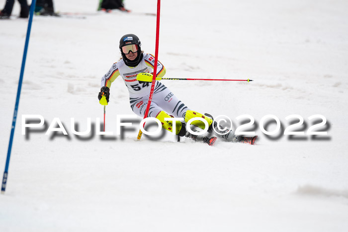 FIS AC + NC AC Slalom Damen + Herren 30.03.2022