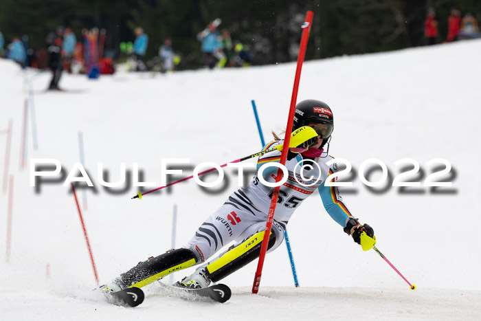 FIS AC + NC AC Slalom Damen + Herren 30.03.2022
