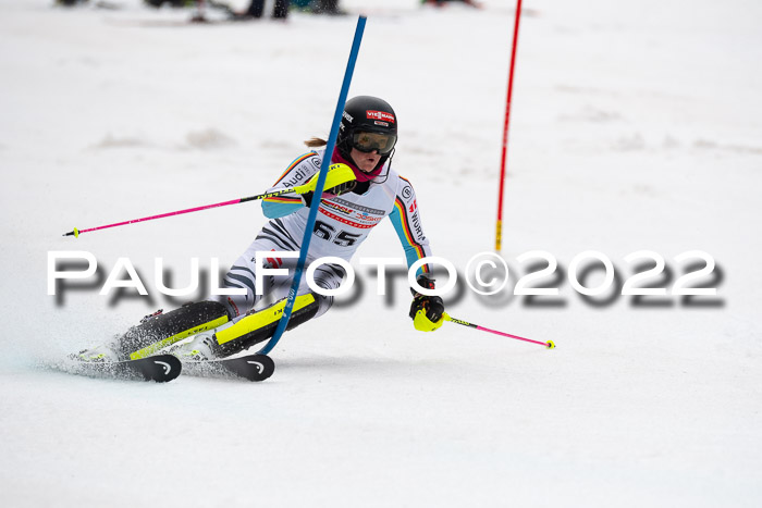 FIS AC + NC AC Slalom Damen + Herren 30.03.2022