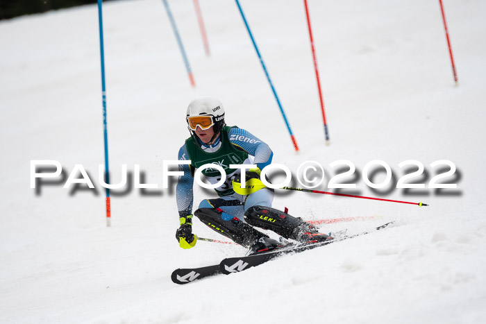 FIS AC + NC AC Slalom Damen + Herren 30.03.2022