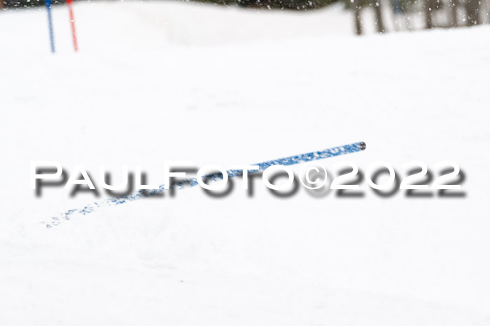 FIS AC + NC AC Slalom Damen + Herren 30.03.2022