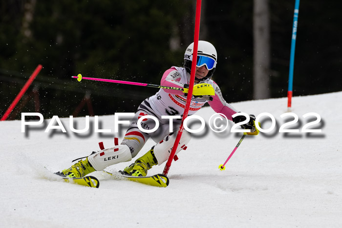FIS AC + NC AC Slalom Damen + Herren 30.03.2022