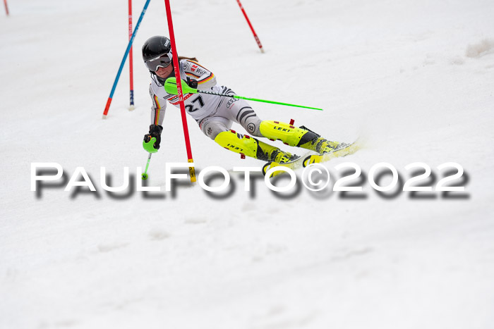 FIS AC + NC AC Slalom Damen + Herren 30.03.2022