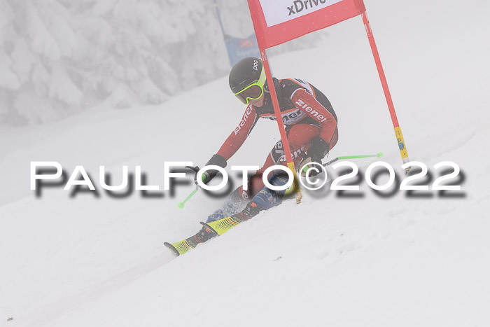 SGW Zienercup Finale Qualiläufe 03.04.2022