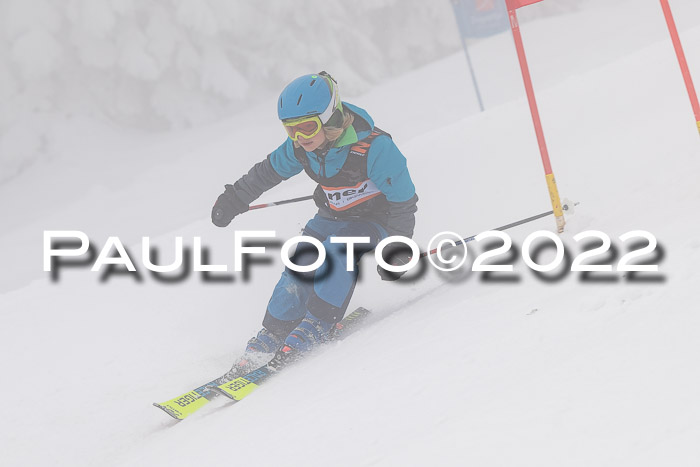 SGW Zienercup Finale Qualiläufe 03.04.2022