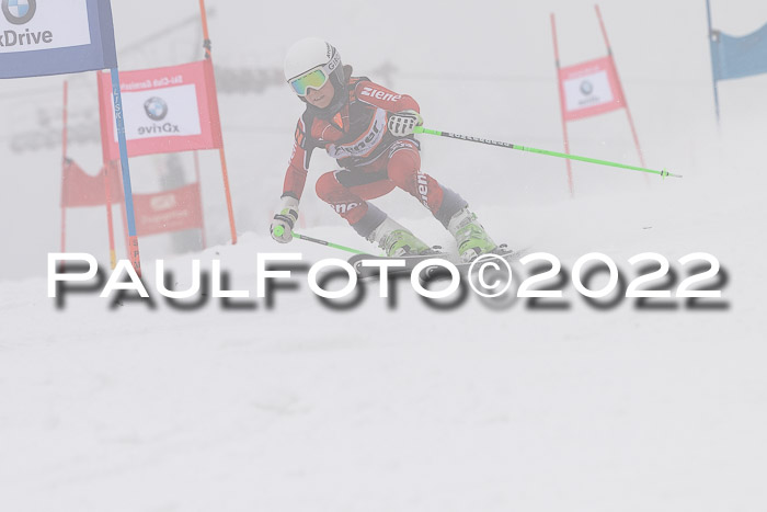 SGW Zienercup Finale Qualiläufe 03.04.2022