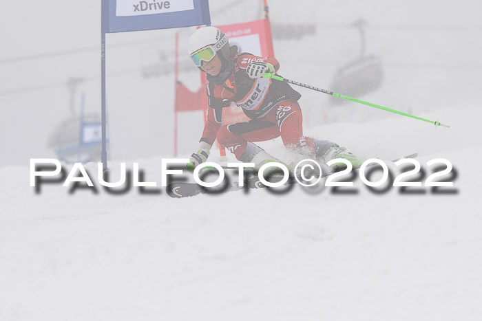 SGW Zienercup Finale Qualiläufe 03.04.2022