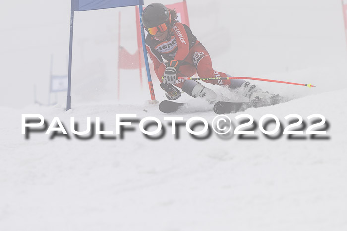 SGW Zienercup Finale Qualiläufe 03.04.2022