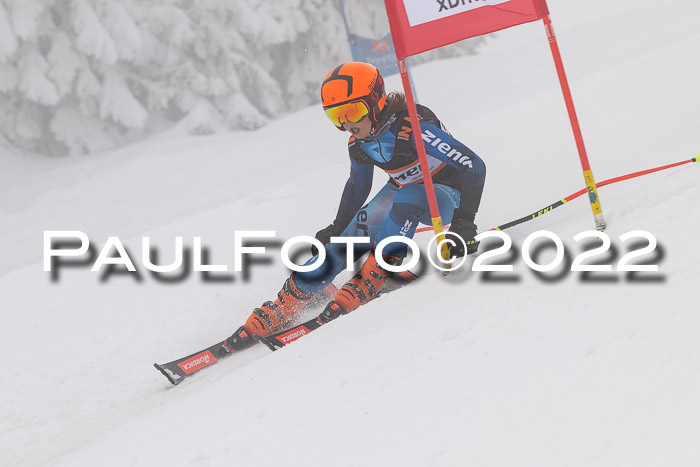 SGW Zienercup Finale Qualiläufe 03.04.2022