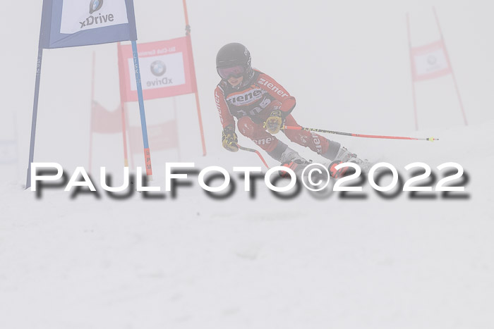 SGW Zienercup Finale Qualiläufe 03.04.2022