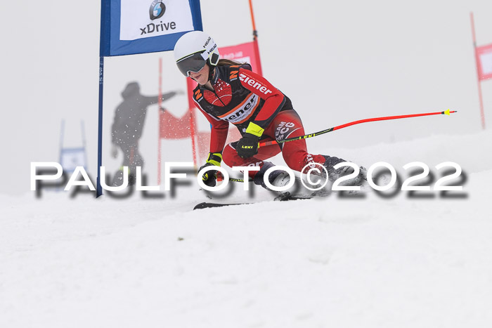 SGW Zienercup Finale Qualiläufe 03.04.2022