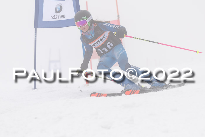 SGW Zienercup Finale Qualiläufe 03.04.2022
