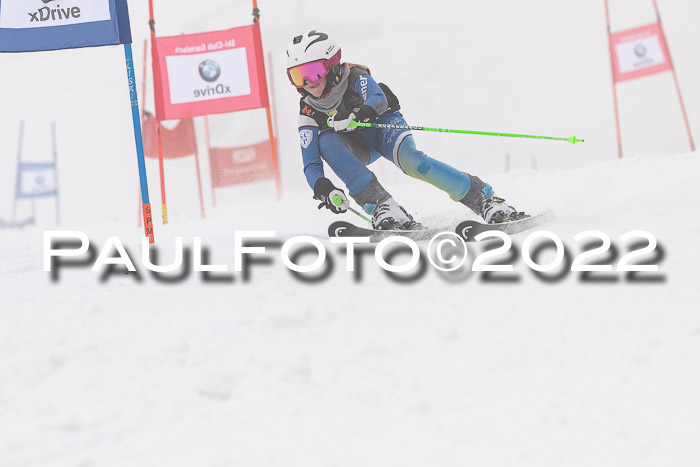 SGW Zienercup Finale Qualiläufe 03.04.2022