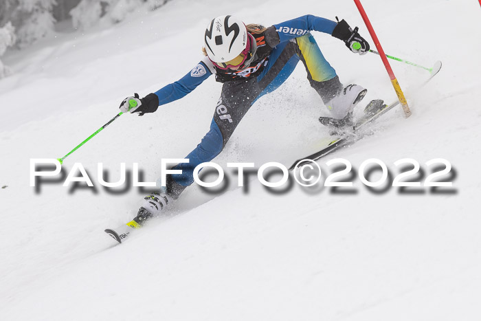 SGW Zienercup Finale Qualiläufe 03.04.2022
