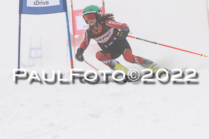 SGW Zienercup Finale Qualiläufe 03.04.2022