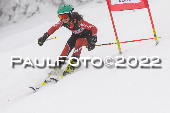 SGW Zienercup Finale Qualiläufe 03.04.2022