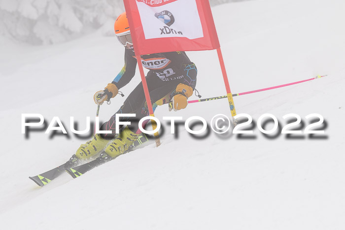 SGW Zienercup Finale Qualiläufe 03.04.2022