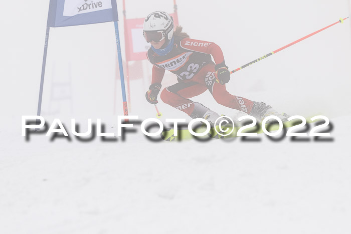 SGW Zienercup Finale Qualiläufe 03.04.2022