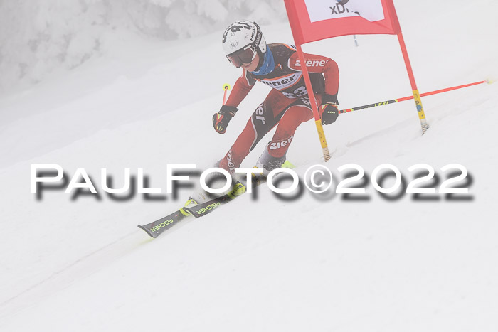SGW Zienercup Finale Qualiläufe 03.04.2022