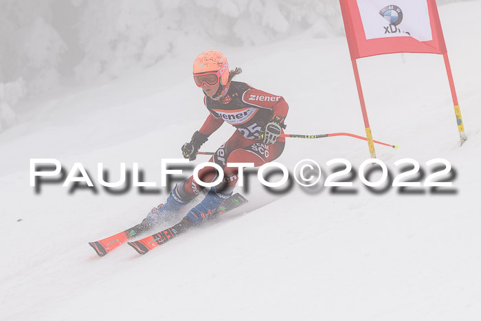 SGW Zienercup Finale Qualiläufe 03.04.2022