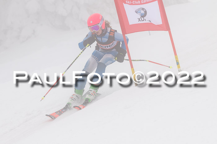 SGW Zienercup Finale Qualiläufe 03.04.2022