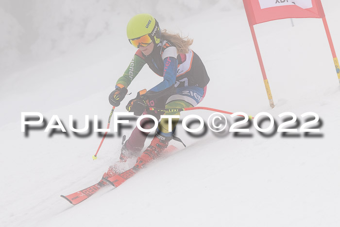 SGW Zienercup Finale Qualiläufe 03.04.2022