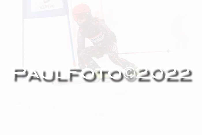 SGW Zienercup Finale Qualiläufe 03.04.2022