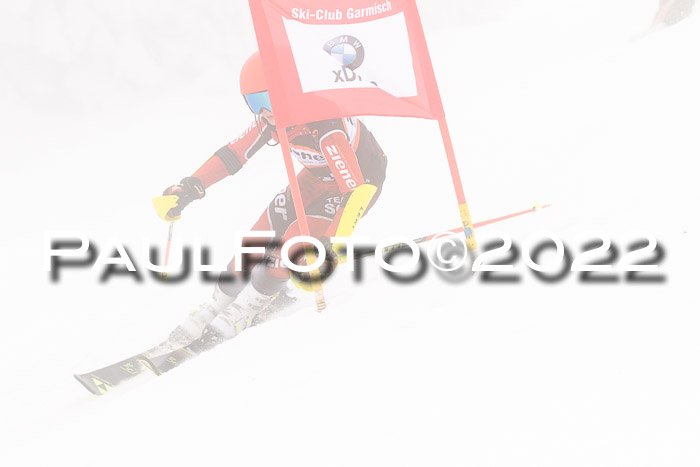 SGW Zienercup Finale Qualiläufe 03.04.2022