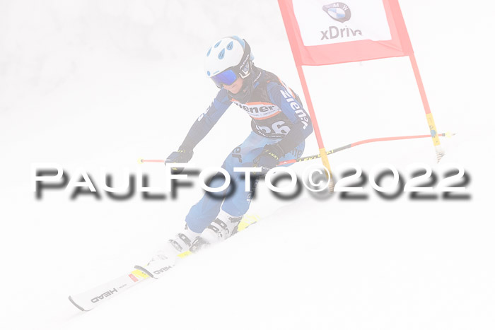 SGW Zienercup Finale Qualiläufe 03.04.2022