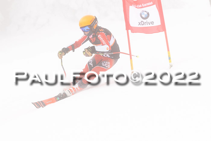 SGW Zienercup Finale Qualiläufe 03.04.2022