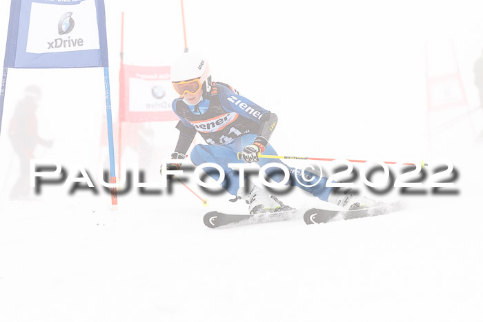 SGW Zienercup Finale Qualiläufe 03.04.2022