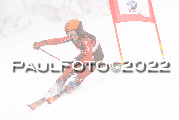 SGW Zienercup Finale Qualiläufe 03.04.2022