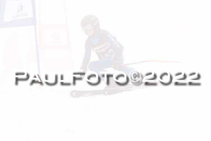 SGW Zienercup Finale Qualiläufe 03.04.2022