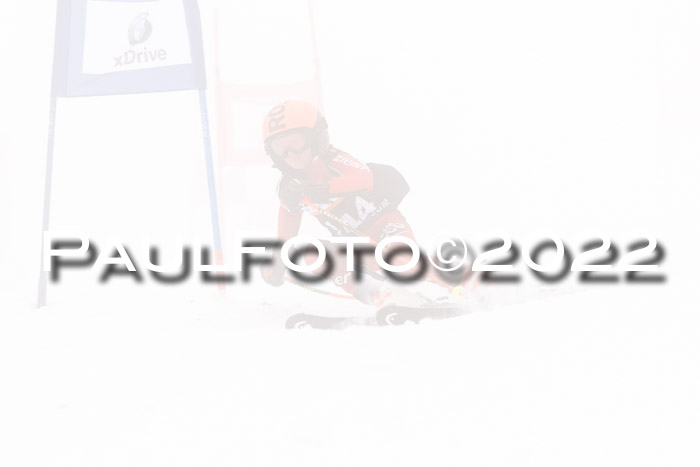 SGW Zienercup Finale Qualiläufe 03.04.2022