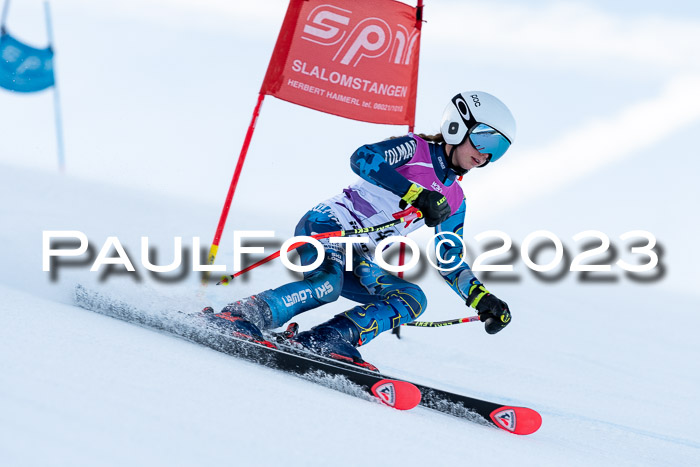 2. SVM Cup Willi-Wein-Gedächtnisrennen, RS, 06.01.2023