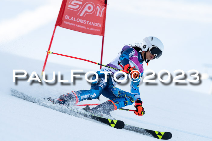 2. SVM Cup Willi-Wein-Gedächtnisrennen, RS, 06.01.2023