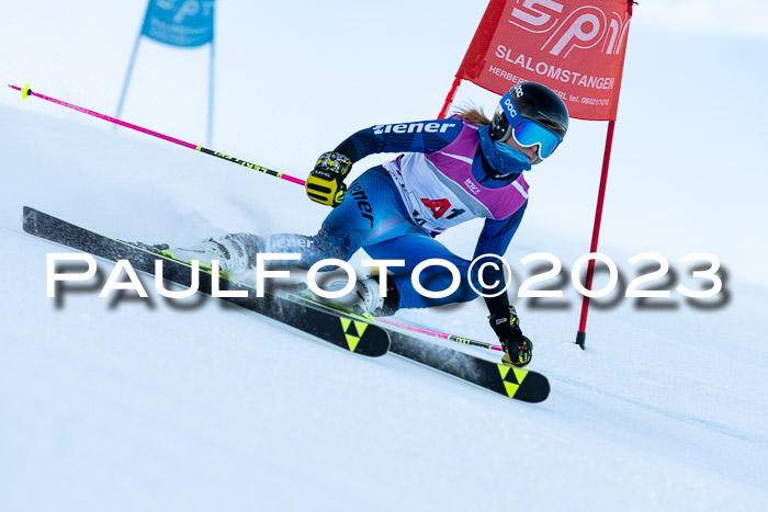 2. SVM Cup Willi-Wein-Gedächtnisrennen, RS, 06.01.2023