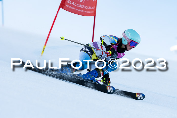 2. SVM Cup Willi-Wein-Gedächtnisrennen, RS, 06.01.2023