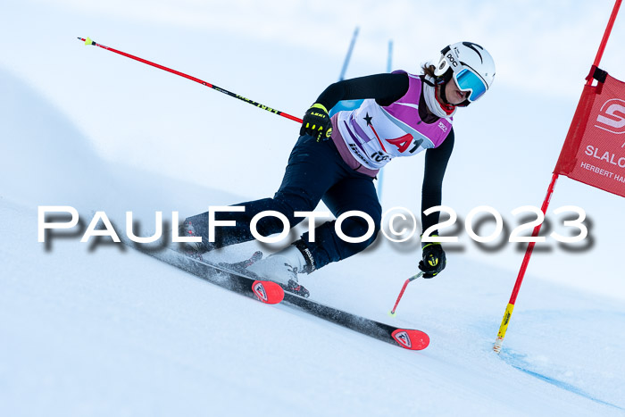 2. SVM Cup Willi-Wein-Gedächtnisrennen, RS, 06.01.2023