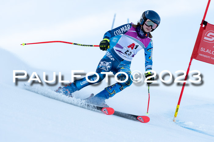 2. SVM Cup Willi-Wein-Gedächtnisrennen, RS, 06.01.2023