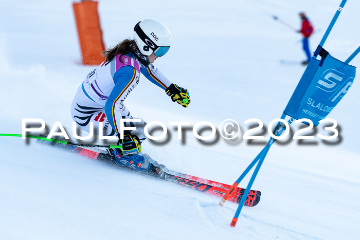 2. SVM Cup Willi-Wein-Gedächtnisrennen, RS, 06.01.2023