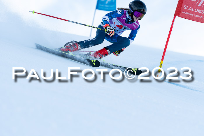 2. SVM Cup Willi-Wein-Gedächtnisrennen, RS, 06.01.2023