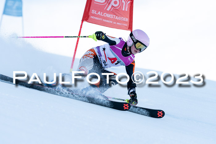 2. SVM Cup Willi-Wein-Gedächtnisrennen, RS, 06.01.2023