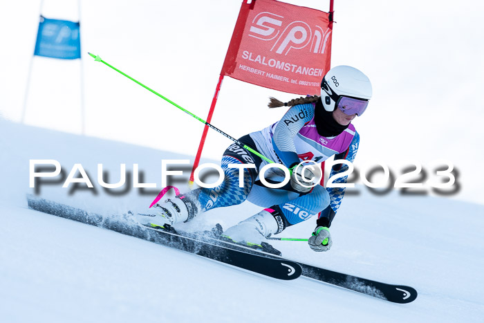 2. SVM Cup Willi-Wein-Gedächtnisrennen, RS, 06.01.2023