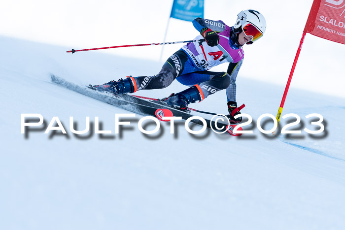 2. SVM Cup Willi-Wein-Gedächtnisrennen, RS, 06.01.2023