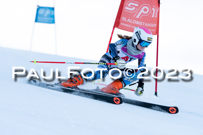 2. SVM Cup Willi-Wein-Gedächtnisrennen, RS, 06.01.2023