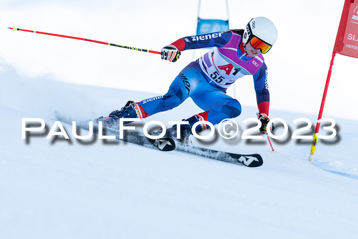 2. SVM Cup Willi-Wein-Gedächtnisrennen, RS, 06.01.2023