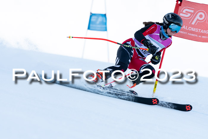 2. SVM Cup Willi-Wein-Gedächtnisrennen, RS, 06.01.2023